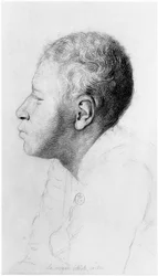 Crétin, profil, illustration d
